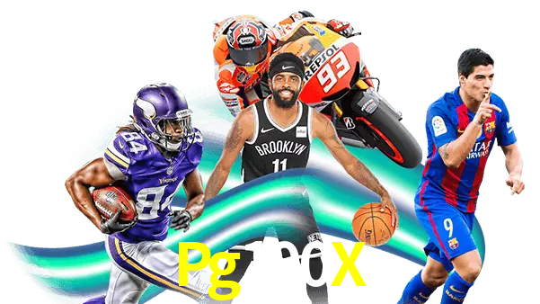 Pg100X